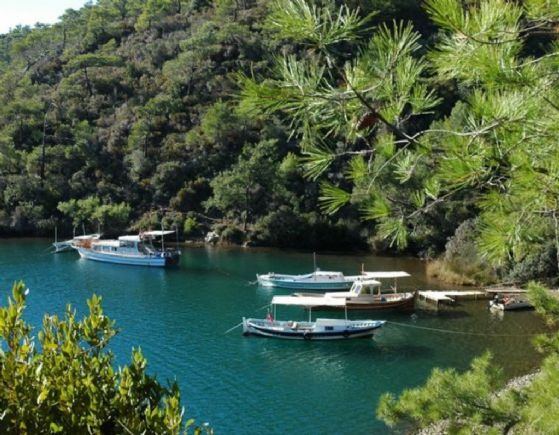 Bodrum resimleri