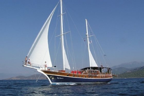 Blue Pearl resimleri