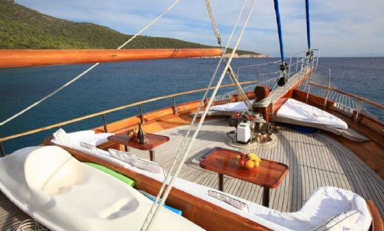 Kaya Güneri 3 resimleri