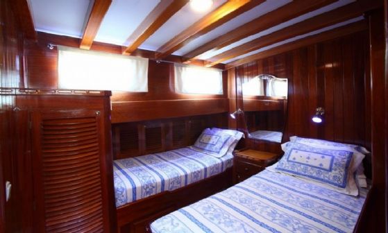 Kaya Güneri 3 resimleri