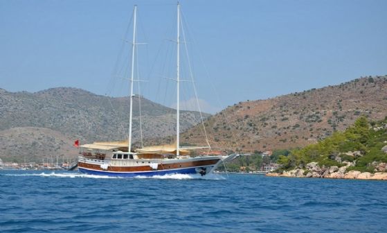 C. Taner 2 resimleri