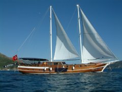 Viego Nello Esperanza resimleri