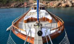 Kaya Güneri 3 resimleri