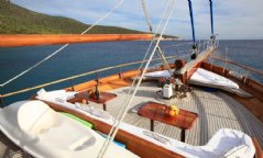 Kaya Güneri 3 resimleri