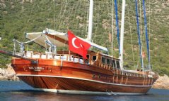 Kaya Güneri 3 resimleri