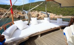 Kaya Güneri 3 resimleri