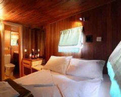 K. Torbalı resimleri