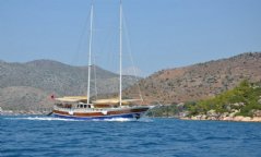 C. Taner 2 resimleri