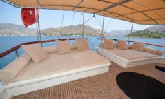 C. Taner 2 resimleri