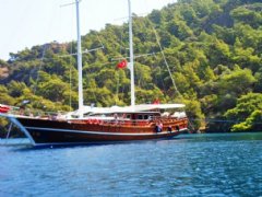 S. Nur Taylan resimleri